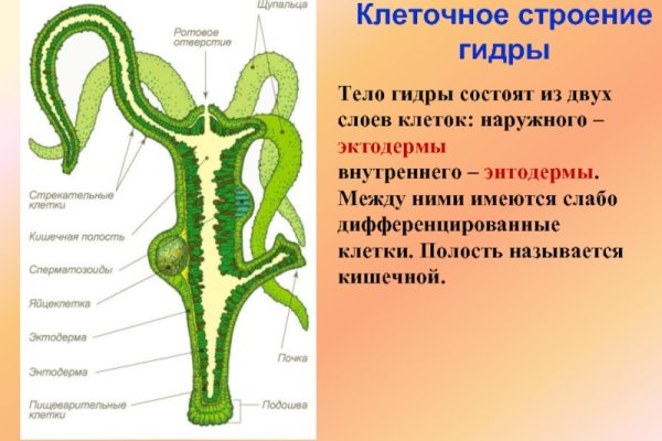 Как попасть на кракен с айфона